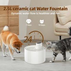 Cordless design of Jzla Pro ceramic fountain ready for placement anywhere
