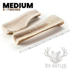 K-9 Antler Co. marrow-exposed image highlights a gentler interior chew for moderate chewers.