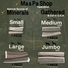 K-9 Antler Co Beagle-sized elk-antler medium split supports moderate chewers.