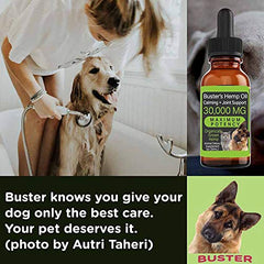 K2xLabs Busters may support joint mobility for active pets