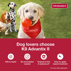 K9 Advantix II kills fleas within 12 hours for faster relief.