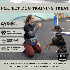 K9 Connoisseur beef lung treats in hand offering portable lean training rewards