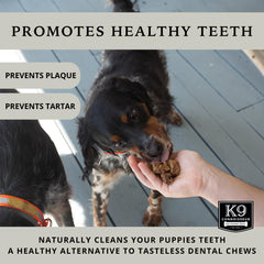 K9 Connoisseur beef lung treats during training session illustrate easy rewards for all breeds
