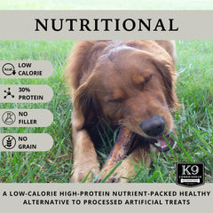 K9 Connoisseur beef marrow bones in action with aggressive chewer dog.