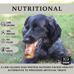 K9 Connoisseur beef marrow bone closeup highlighting natural single ingredient chew