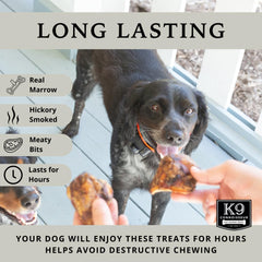 K9 Connoisseur single-ingredient dog bone graphic emphasizing pure, healthy alternative