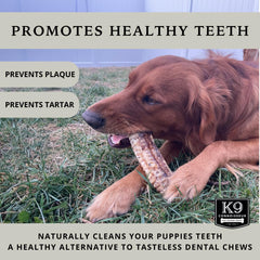 K9 Connoisseur trachea chews close-up texture showing chewy beef surface.
