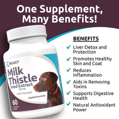K9 Select beef-flavored chewable tablets for easy daily liver support.