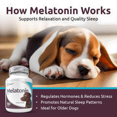 K9 Select tasty calming chews provide easy, palatable anxiety relief.