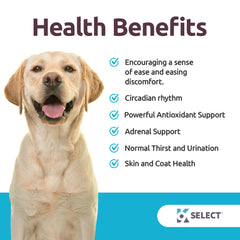 K9 Select melatonin beef-flavored chews highlight sleep-wake cycle support for large dogs.