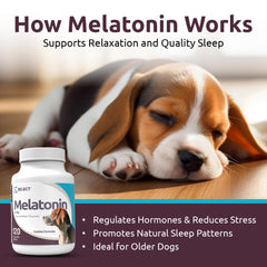 K9 Select melatonin dog relaxing on cushion demonstrates calming effect during stressful events