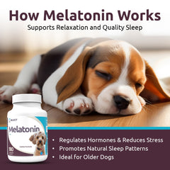 K9 Select melatonin dog capsules on spoon illustrating easy administration.