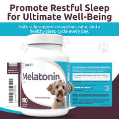 K9 Select melatonin dog small-breed label emphasizing gentle calming support.