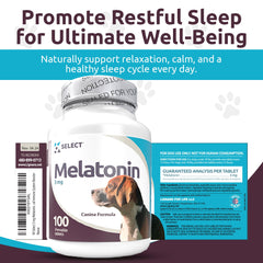 K9 Select Melatonin immune-antioxidant for dogs supports overall wellness and oxidative balance.