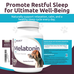 K9 Select melatonin packaging on shelf conveys trusted calming solution for dogs