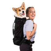 K9 Sport Sack Knavigate in-use with a medium dog for hands-free hiking.