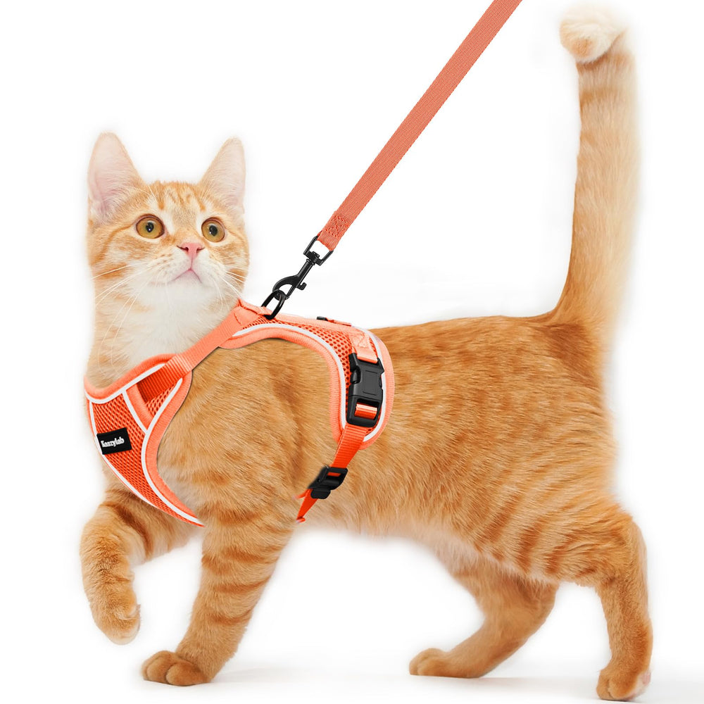 Kaazylab cat harness escape-proof close-up shows secure, adventure-ready design for active cats