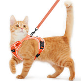 Kaazylab cat harness escape-proof close-up shows secure, adventure-ready design for active cats