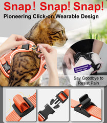 Kaazylab cat harness reflective strip makes evening walks safer and visible