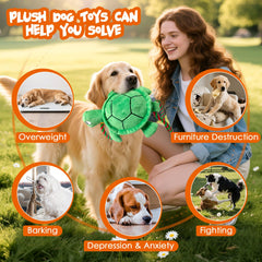 kachewlulu green red turtle toy detail for eye-catching festive play