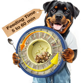 KADTC rotating-lid dog puzzle demonstrates slow feeding for calmer mealtimes.