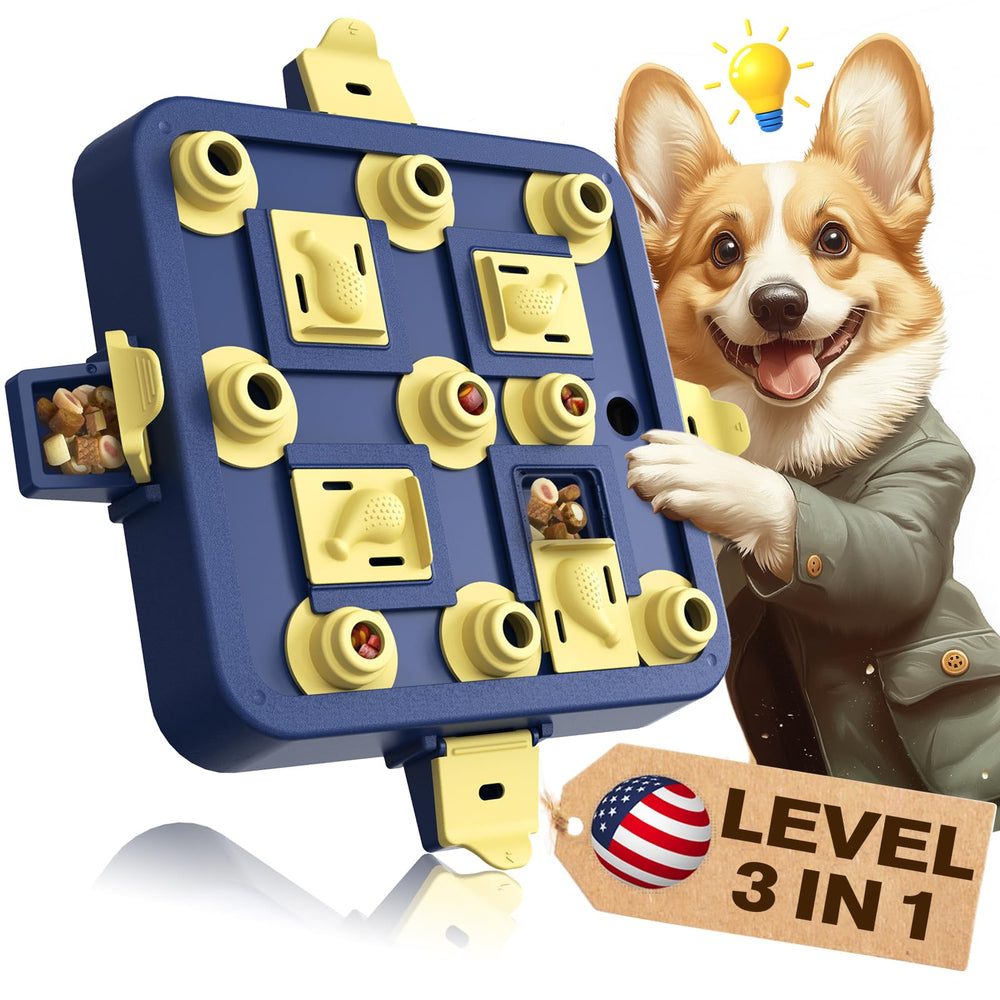 KADTC three-level dog puzzle top view shows adjustable challenges for brain training.