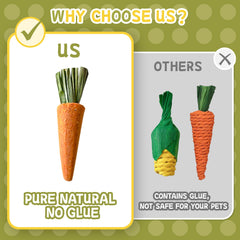 Kagoty hamster chew toys seesaw encourages balance play and mental stimulation.