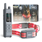 Kailo's Creations 2-in-1 dog collar front view with LED visibility for nighttime walks