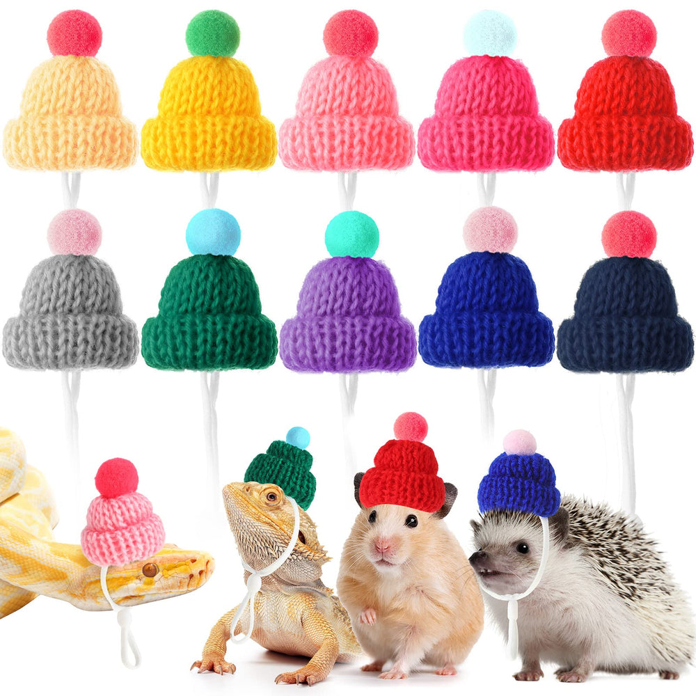 Kajaia pet hat blue color offers warm, adorable styling for small pets.