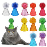 Kalione cat birthday hats set in vibrant colors for festive pet photos