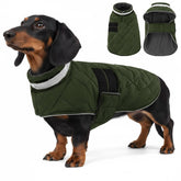 KAMA BRIDAL dog winter coat green front view highlights warm, water-resistant protection.