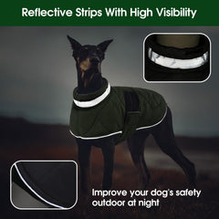 KAMA BRIDAL dog winter coat green middle cotton layer adds warmth.