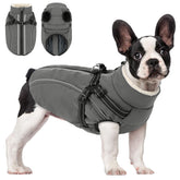 KAMA BRIDAL dog winter coat harness front view for secure leash attachment.