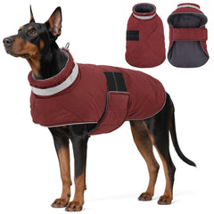 KAMA BRIDAL dog winter coat front view with warm padding for chilly walks.