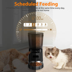 Katalic feeder bowl close-up reveals stainless steel, rust-resistant, easy-clean surface