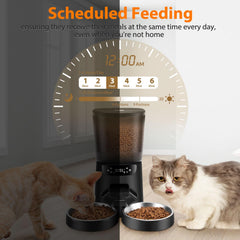 Katalic timer setup delivers up to six meals per day.