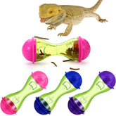 Kathfly bearded dragon toy 1, colorful enrichment in the tank.