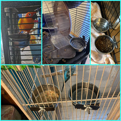 Kathson parrot feeder bowl clamp securely attaches to cage