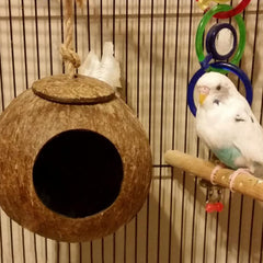 Kathson coconut husk nest showing mold-resistant design feature