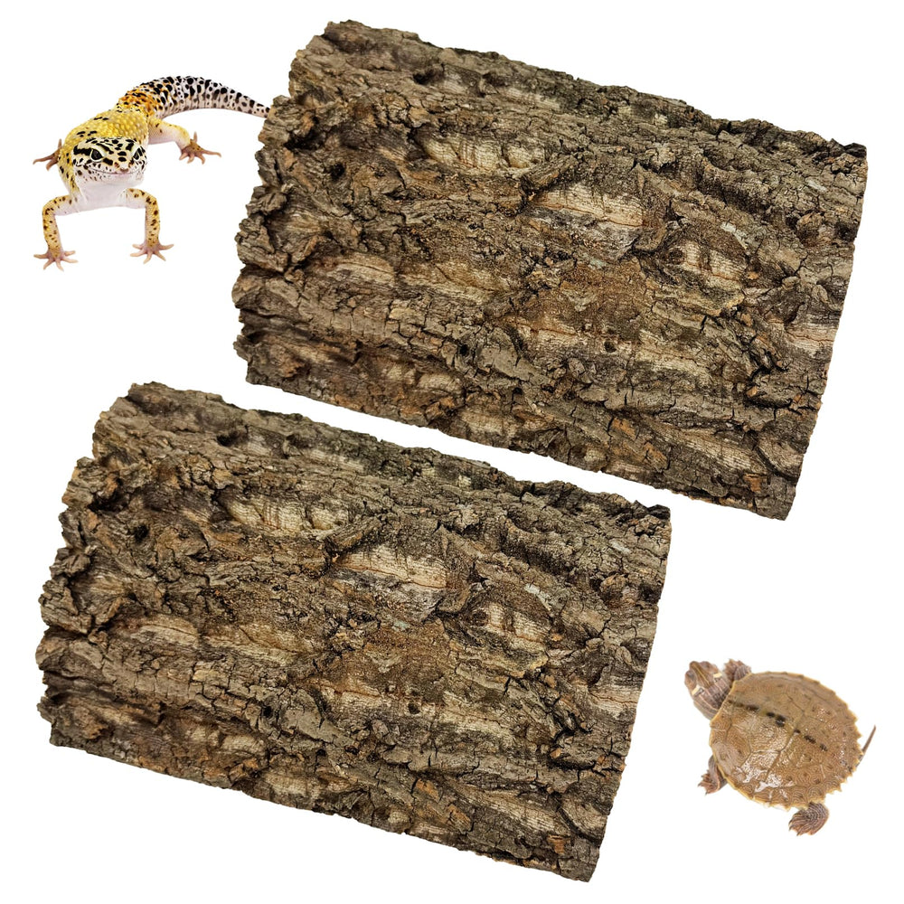 kathson cork background full setup creates natural terrarium backdrop for reptiles