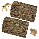 kathson cork background full setup creates natural terrarium backdrop for reptiles