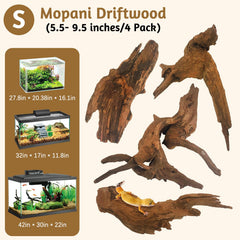 Kathson driftwood branch in terrarium provides climbing structure for reptiles