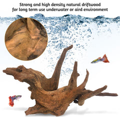 Kathson driftwood pieces form focal point in freshwater aquariums