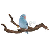 Kathson grapevine perch branch front view showing natural texture for grip