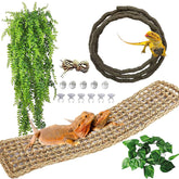 Kathson bearded dragon hammock in natural seagrass offers a safe, comfy lounge for basking