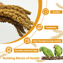kathson millet spray closeup—plump, additive-free grains rich in nutrients.