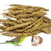 Kathson spray millet treat pack—plump sprays offer bird enrichment and tasty nibbling.