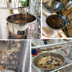 kathson stainless steel bird bowls shine rust-resistant and easy to clean