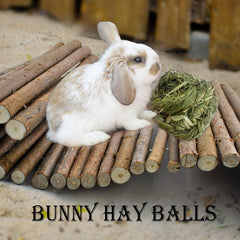 Kathson Timothy grass chew ball in use for interactive pet play and enrichment