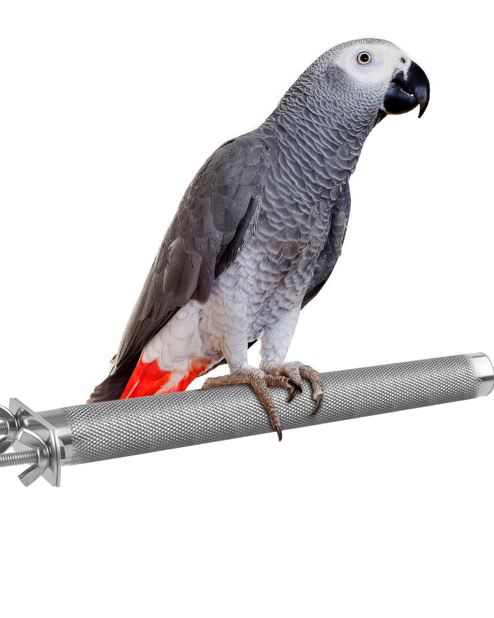 KATUMO bird perch in stainless steel with rough surface for natural grip and nail maintenance.